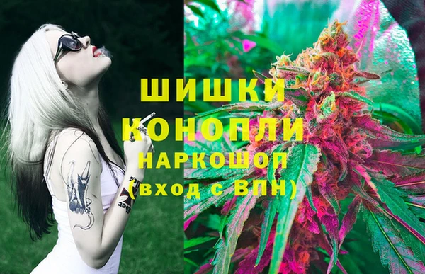 ешки Алексин