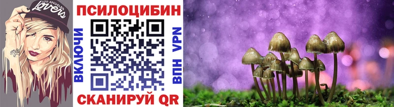 цена кракен как зайти Галлюциногенные грибы мухоморы Юхнов