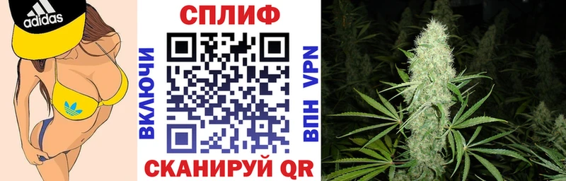 Бошки Шишки LSD WEED  купить наркоту  Юхнов 